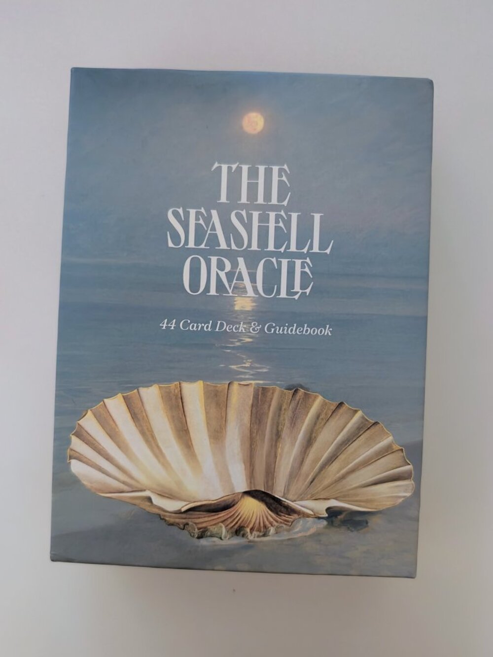 Seashell Oracle 🐚